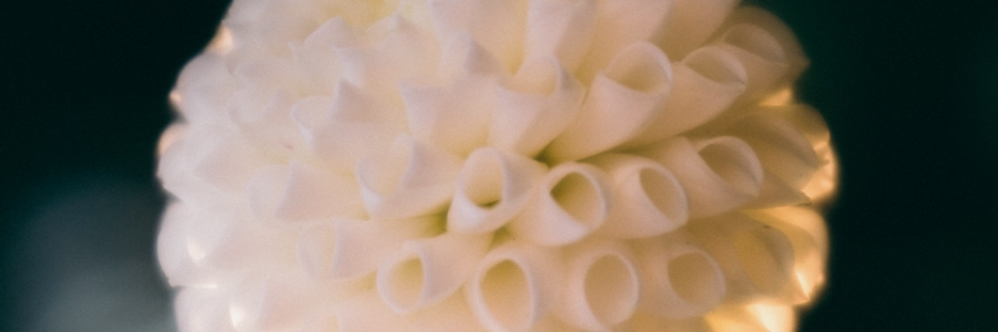 Cover image for post We Know Her, by LostInInk