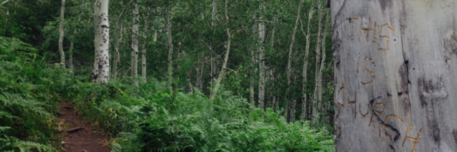 Cover image for post Lost&Found, by WeirWeird