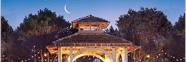 Cover image for post Untitled, by DebbieMacomber