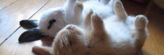 Cover image for post Untitled, by unspecific