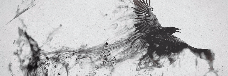 Cover image for post Black Knight, by lostAlice