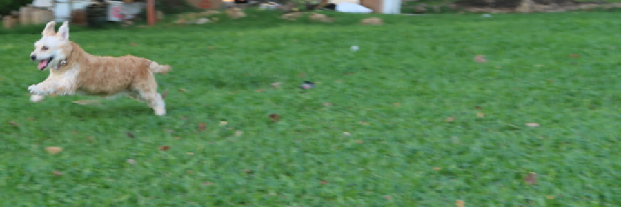 Cover image for post Playing it cool, by journe