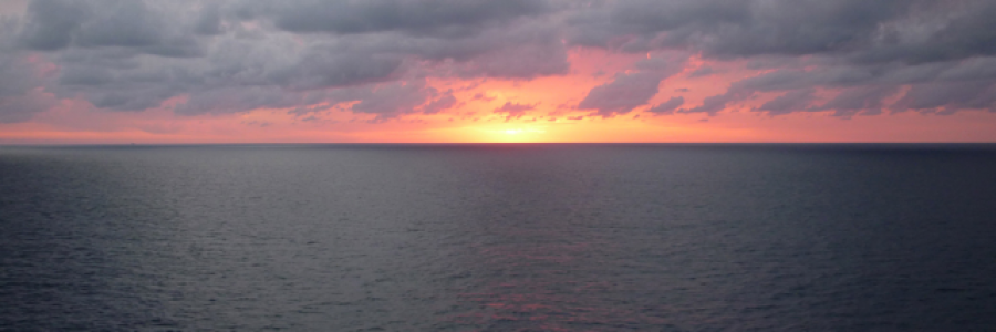 Cover image for post Stay, by DMMosley