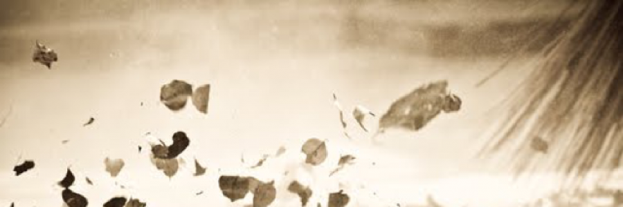 Cover image for post Love Voracious, by DMMosley