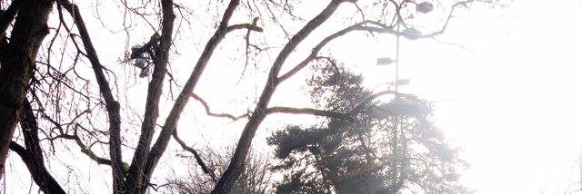 Cover image for post Dwindled down to a thread, by autumn