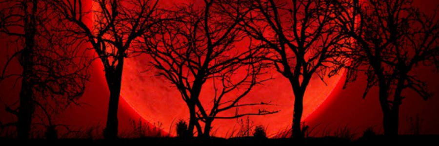 Cover image for post Midnight Moon, by Fortbruce