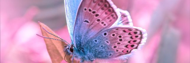 Cover image for post Under the Soft Clouds, by star_catcherx