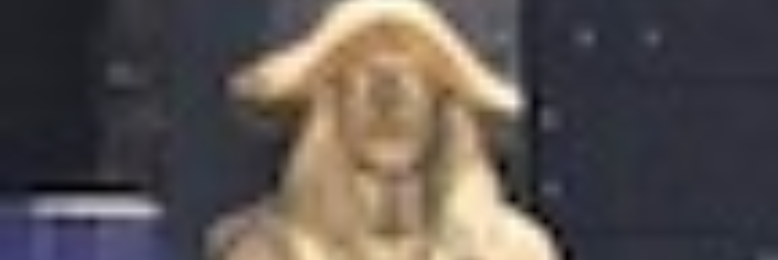 Cover image for post No matter what, people will stick you in boxes, by ShiuliMukherji