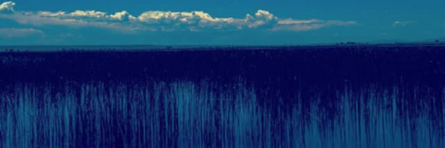 Cover image for post Deep.Water, by WeirWeird