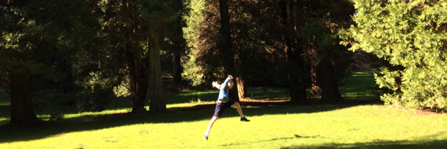 Cover image for post poet-y and birds, by 03greedoluver