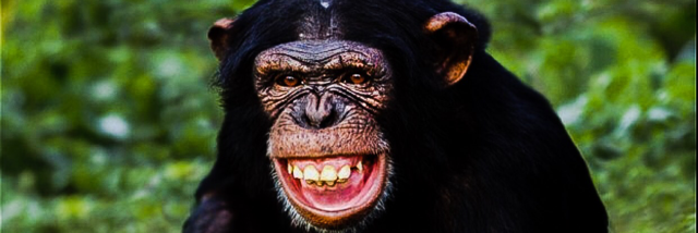 Cover image for post Proof!, by Yowwa