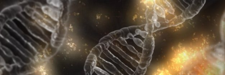 Cover image for post The Ether, by Vi