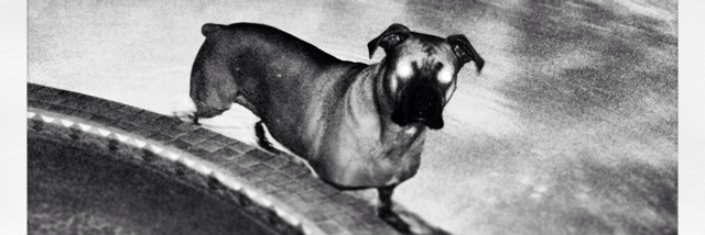 Cover image for post Untitled, by ronramsey7