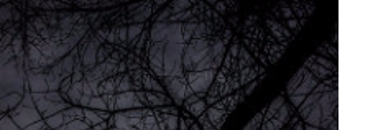 Cover image for post Her., by Petrichorical