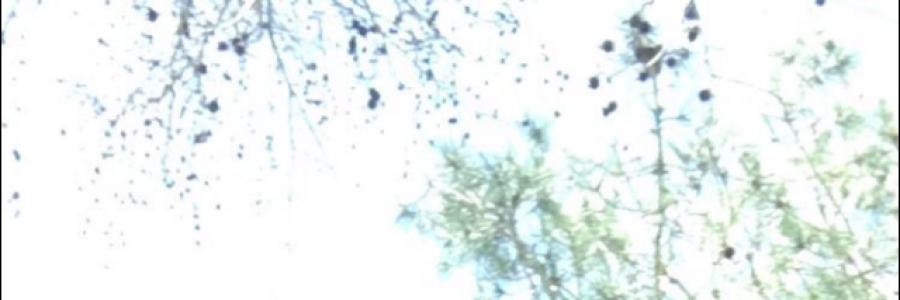 Cover image for post Broken Hearts and Broken Dreams, by Broken_hearted