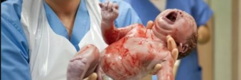 Cover image for post Proclamation, by ruffmiriam