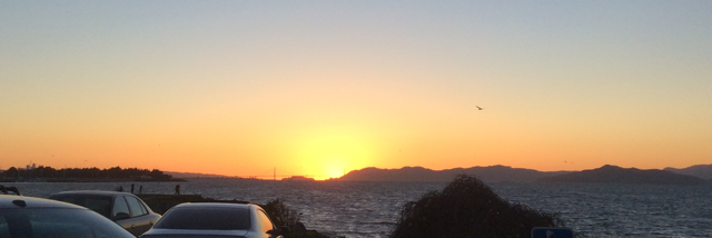 Cover image for post Heart, by LyfeChange