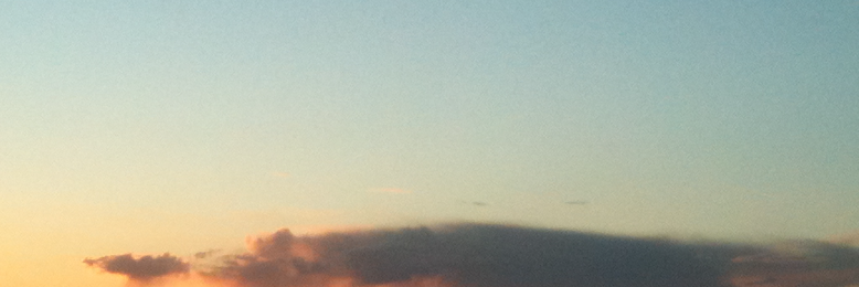 Cover image for post survivor, by flabjack