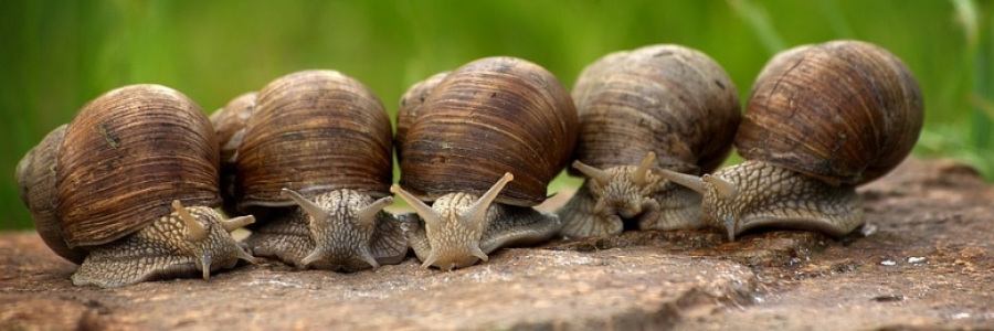 Cover image for post LMFAO (A Memory), by PoeticMC