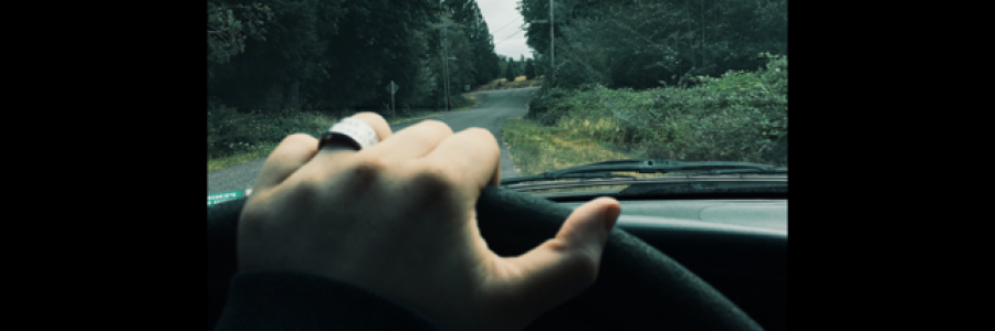 Cover image for post Pansy... what is love, by Tereza