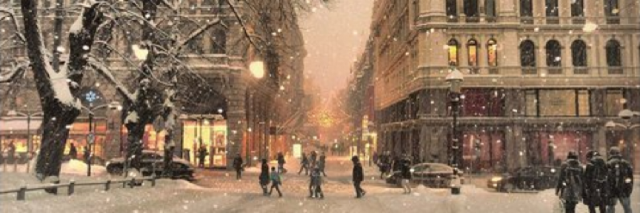 Cover image for post Dear Winter, I want you back., by DontCallMePanii