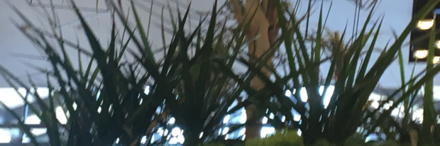 Cover image for post Hollow Things, by pyrrhic