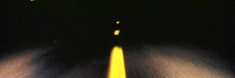 Cover image for post WorldVision., by feathersanddown