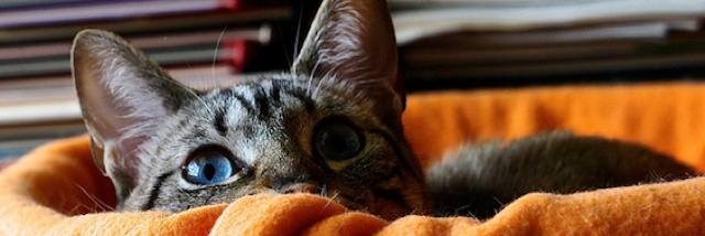 Cover image for post Minimum, by RaneMcC