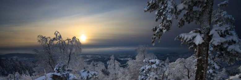 Cover image for post Number One Fan, by StephRaBa