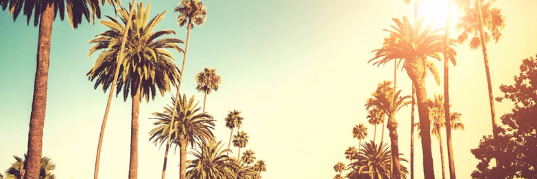 Cover image for post Chapter 18:
Los Angeles, CA
1992
(Excerpt from: The City of X), by LauraDelRey