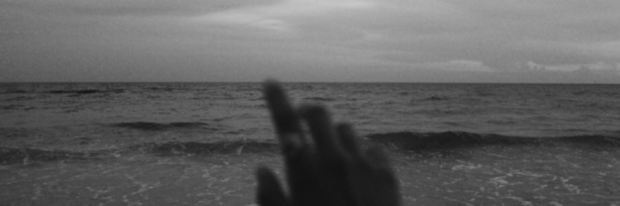 Cover image for post Untitled, by adm