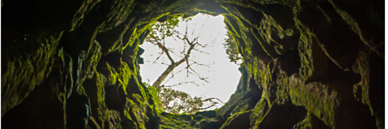 Cover image for post The Well: Continued Part ll, by BookofFeathers