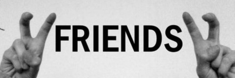 Cover image for post Fake Friends, by badassmccanns