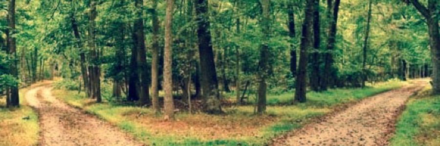 Cover image for post Standing at the fork in the road., by DontCallMePanii