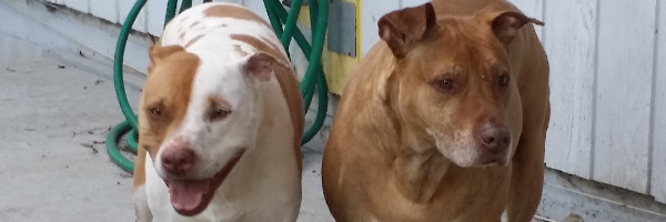 Cover image for post The word that brightens my soul on a daily basis..., by madscotter