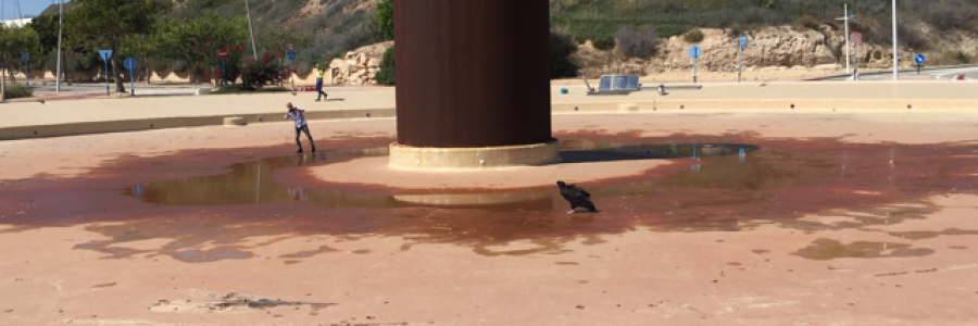 Cover image for post What's up?, by DavidMark