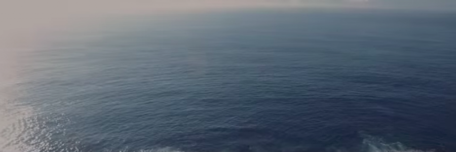 Cover image for post Untitled, by misty