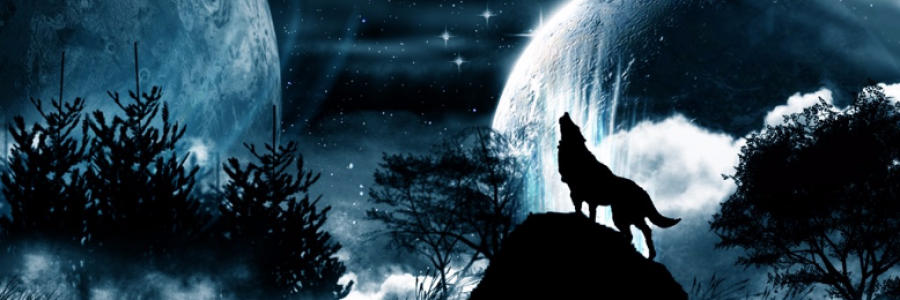 Cover image for post The Boy Who Cried Wolf., by lostAlice