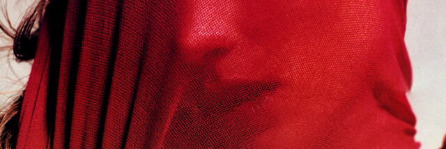 Cover image for post deception, by artemis