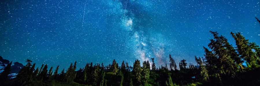 Cover image for post Home, by kaywhitlee