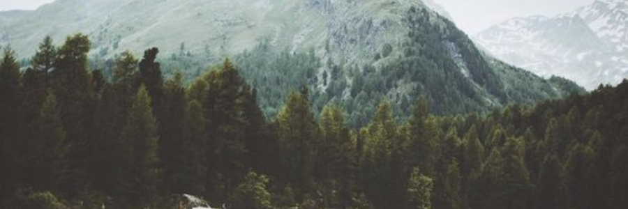 Cover image for post THE MOUNTAIN I WALK, by Tyla