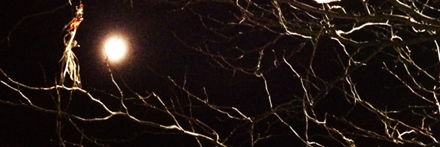 Cover image for post Mistress Moon, by ImTheMind