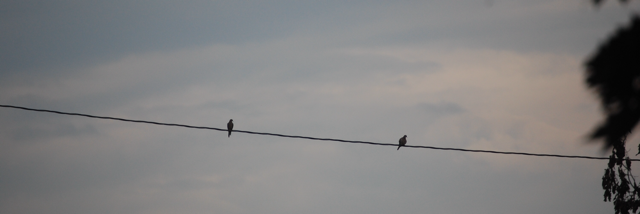 Cover image for post It depends.., by Lexihoffman