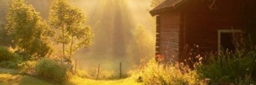 Cover image for post Be you ;), by Rafael_thebrain