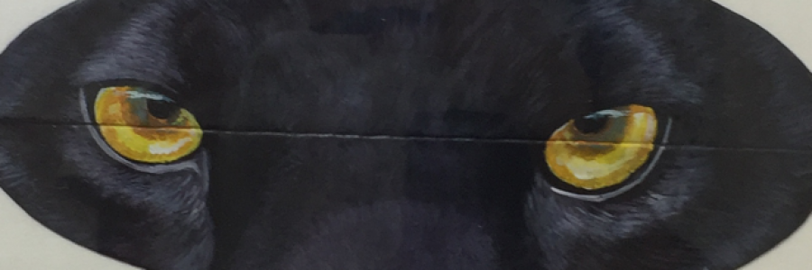 Cover image for post Bad People, by journe