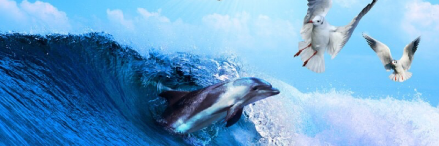 Cover image for post Flipping Off The Birds, by StephanieMarie