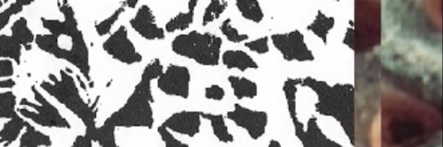 Cover image for post truth ends your nightmarish dreams of evil, by wecravebeauty