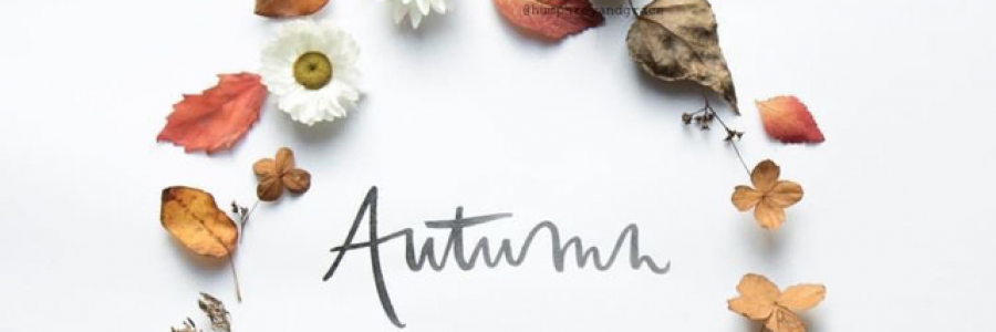 Cover image for post Autumn ....., by xlachrymose