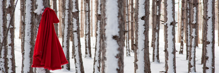 Cover image for post Those red gloves, by anarosewood