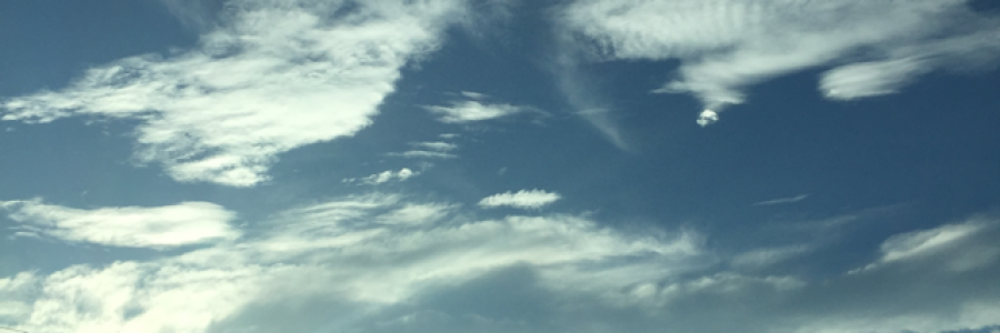 Cover image for post Within my grasp, by ShannonRedmond